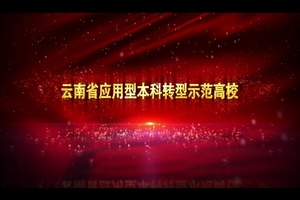 云南经济管理学院宣传片配音视频